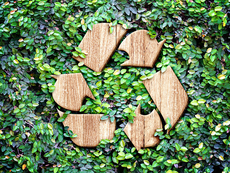 Corporate Sustainability Efforts and Waste Elimination